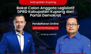 demokrat