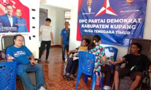 donor darah