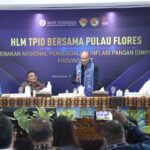 gubernur di flores gubernur di flores