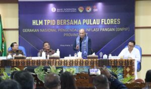 gubernur di flores gubernur di flores