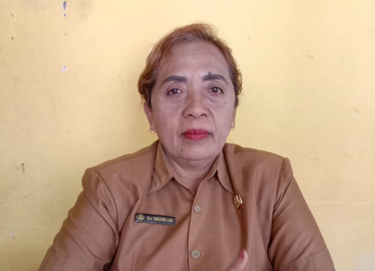 pemda TTU