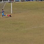 perseftim-1 perseftim 1 1
