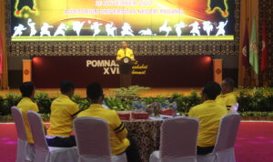 IMG_9539 (1) IMG 9539 1