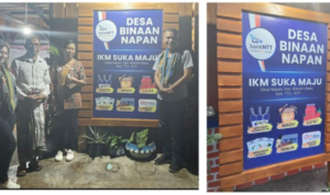 desa Napan
