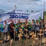 foto jagung