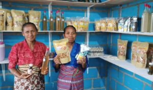 perempuan bank NTT-OK perempuan bank NTT OK