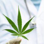fatwa mui konsumsi ganja 2 43