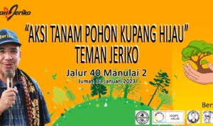jeriko tanam pohon jeriko tanam pohon