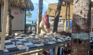 objek wisata kelapa lima jadi kumuh objek wisata kelapa lima jadi kumuh