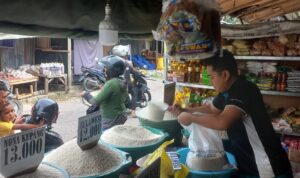 harga beras
