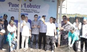 lobster rote lobster rote