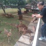 FG 19 Rusa