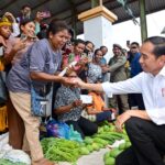jokowi di pasar