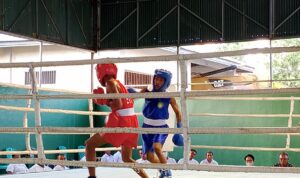 tinju
