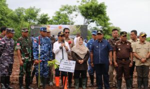 ody tanam anakan ody tanam anakan