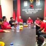 PDIP