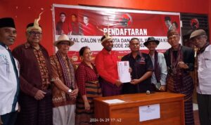 PDIP 2