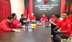 PDIP