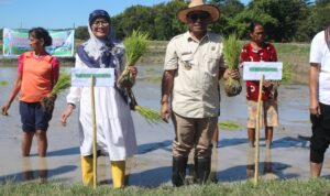 pj bupati kpg pj bupati kpg