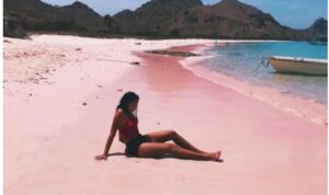 Pink Beach Pink Beach
