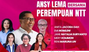 Ansy Ansy 1