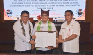penjabat walikota penjabat walikota