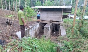 Demi Nasib Ratusan Petani, Melki Laka Lena Siap Perbaiki Jaringan Irigasi Persawahan Gising 1 IMG 20241020 WA0033