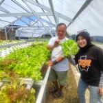 sayur