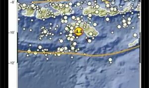 gempa wanokaka ntt 23Ol large