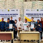 Bulog manggarai