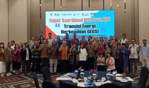 CIS timor CIS timor