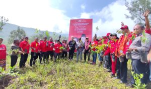 PDIP TTS