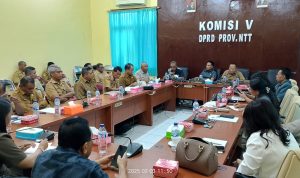Miris, Dana Miliaran untuk Tangani Bencana di NTT Masih Mengendap, Ini Penyebabnya 2 IMG 20250203 WA0041