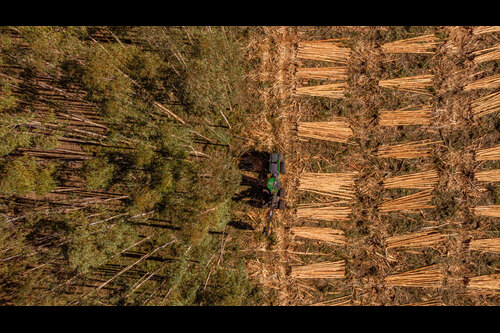 Koltiva Dorong Dialog Multi Pemangku Kepentingan tentang Regulasi Anti Deforestasi Uni Eropa dan Kepatuhan untuk Keberlanjutan Industri 1