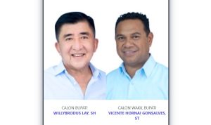 willy-vicente willy vicente