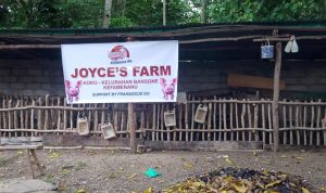 Joyce's Farm Joyces Farm