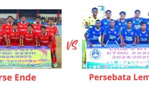 perse vs persebata perse vs persebata