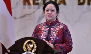 puan maharani 43